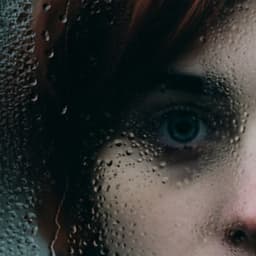 Whispers Through the Fogged Glass - Daniel Philo