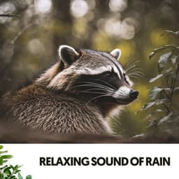 Relaxing Sound of Rain: Melodies from the Clouds - Relajacion