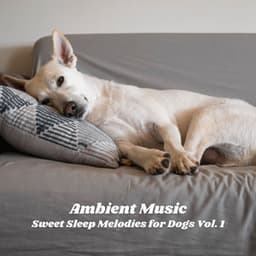 Ambient Music: Sweet Sleep Melodies for Dogs Vol. 1 - Sleeping Music For Dogs