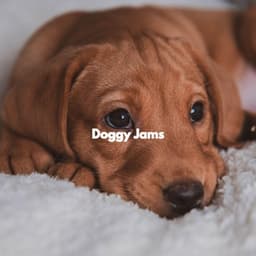 Doggy Jams - Relaxation Music For Dogs