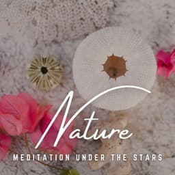 Meditation Under the Stars: Cosmic Serenity - Zen Master