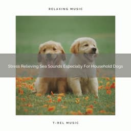 Stress Relieving Sea Sounds Especially For Household Dogs - Dog Total Relax