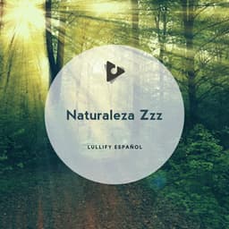 Naturaleza Zzz - Lullify Español