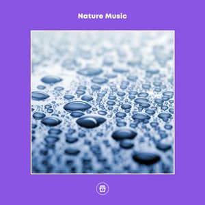 Nature Music - 24H Rain Sounds