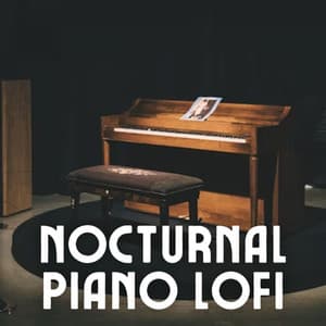 Nocturnal Piano Lofi - Piano for Sleep