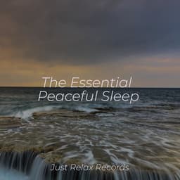 The Essential Peaceful Sleep - Musica de Relajación Academy