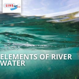 Elements of River Water - Life River Sound