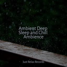 Ambient Deep Sleep and Chill Ambience - Study Hard