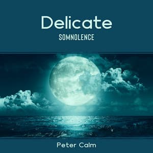 Delicate Somnolence - Peter Calm