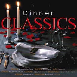 Dinner Classics - Junge Philharmonie Köln