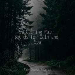 50 Calming Rain Sounds for Calm and Spa - Rain For Deep Sleep