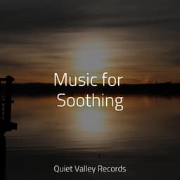 Music for Soothing - Rain Sounds Collection