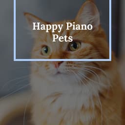 Happy Piano Cat - Cat Music