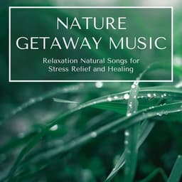 Nature Getaway Music: Relaxation Natural Songs for Stress Relief and Healing - Anxiety Relief