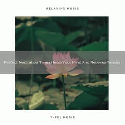 Perfect Meditation Tunes Heals Your Mind And Relieves Tension - Spa And Soft Relax