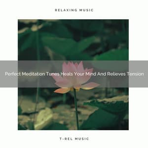 Perfect Meditation Tunes Heals Your Mind And Relieves Tension - Spa And Soft Relax