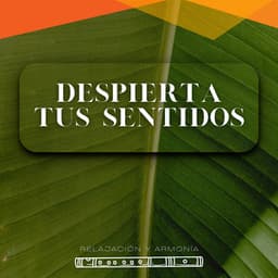 Despierta Tus Sentidos - Relajación y Armonía