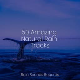 50 Amazing Natural Rain Tracks - White Noise Therapy