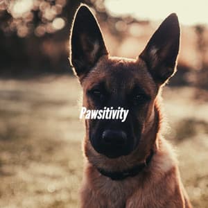 Pawsitivity - Relaxing Dog Music