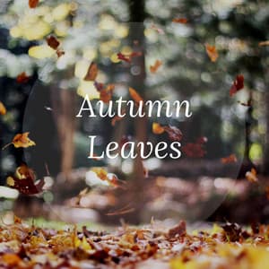 Autumn Leaves - Yoga Tribe