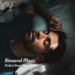 Binaural Music: Perfect Deep Sleep Vol. 1 - Rain Sounds For Sleep