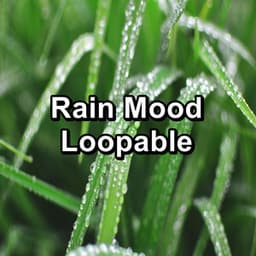 Rain Mood Loopable - Sounds Of Thunder