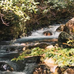 Corporate Cascades: Chill Music Water Office - Natural Waters