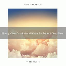 Sleepy Vibes Of Wind And Water For Perfect Deep Sleep - Sea Waves Sounds