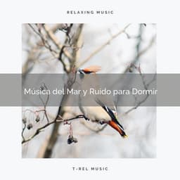 Música del Mar y Ruido para Dormir - Ruido Blanco