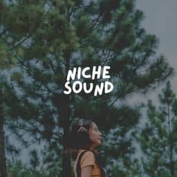 Niche Sound - Vacuum Cleaner White Noise