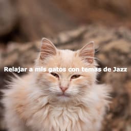 Relajar a mis gatos con temas de Jazz - Hintergrund Jazz Musik