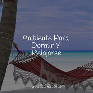 Ambiente Para Dormir Y Relajarse - Música para Dormir Con Relajantes Sonidos de la Naturaleza