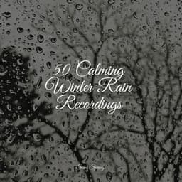 50 Calming Winter Rain Recordings - Hipnose Natureza Sons Coleção