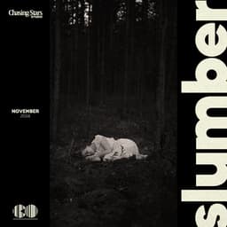 Slumber - Flows of Sleep