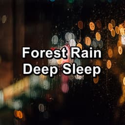 Forest Rain Deep Sleep - Relaxing Sounds Of Nature