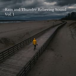 Rain and Thunder Relieving Sound Vol. 1 - Recorder Rain