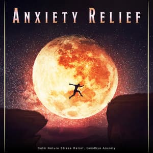 Anxiety Relief: Calm Nature Stress Relief, Goodbye Anxiety - Piano and Ocean Waves