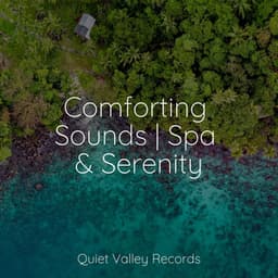 Comforting Sounds | Spa & Serenity - Instrumental