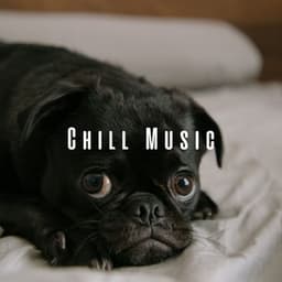 Chill Music: Dogs' Dreamtime Serenity - Chill Vibes
