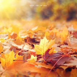 Leaves Dancing in Light - Taigavista