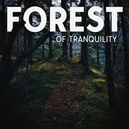 Forest of Tranquility: Accept Nature - Relax Ambience