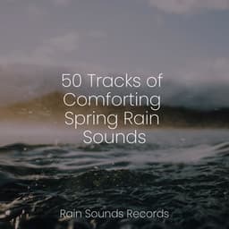 50 Tracks of Comforting Spring Rain Sounds - Nature Sound Collection