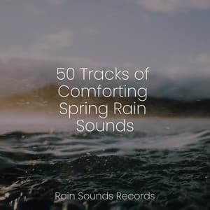 50 Tracks of Comforting Spring Rain Sounds - Nature Sound Collection