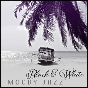 Black & White – Moody Jazz: Relaxing Melodies, Autumn Peace, Cafe Bar, Waiting Lounge, Smooth Background Music - Awesome Holidays Collection