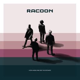 Look Ahead And See The Distance - Racoon
