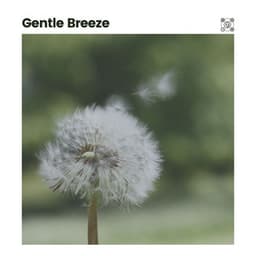 Gentle Breeze - The Forest Escape