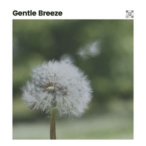 Gentle Breeze - The Forest Escape