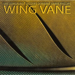 Wing Vane - Urs Leimgruber