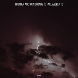 Thunder and Rain Sounds to Fall Asleep To - Derrol