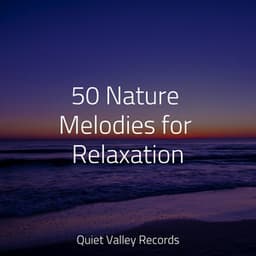 50 Nature Melodies for Relaxation - Study Concentration